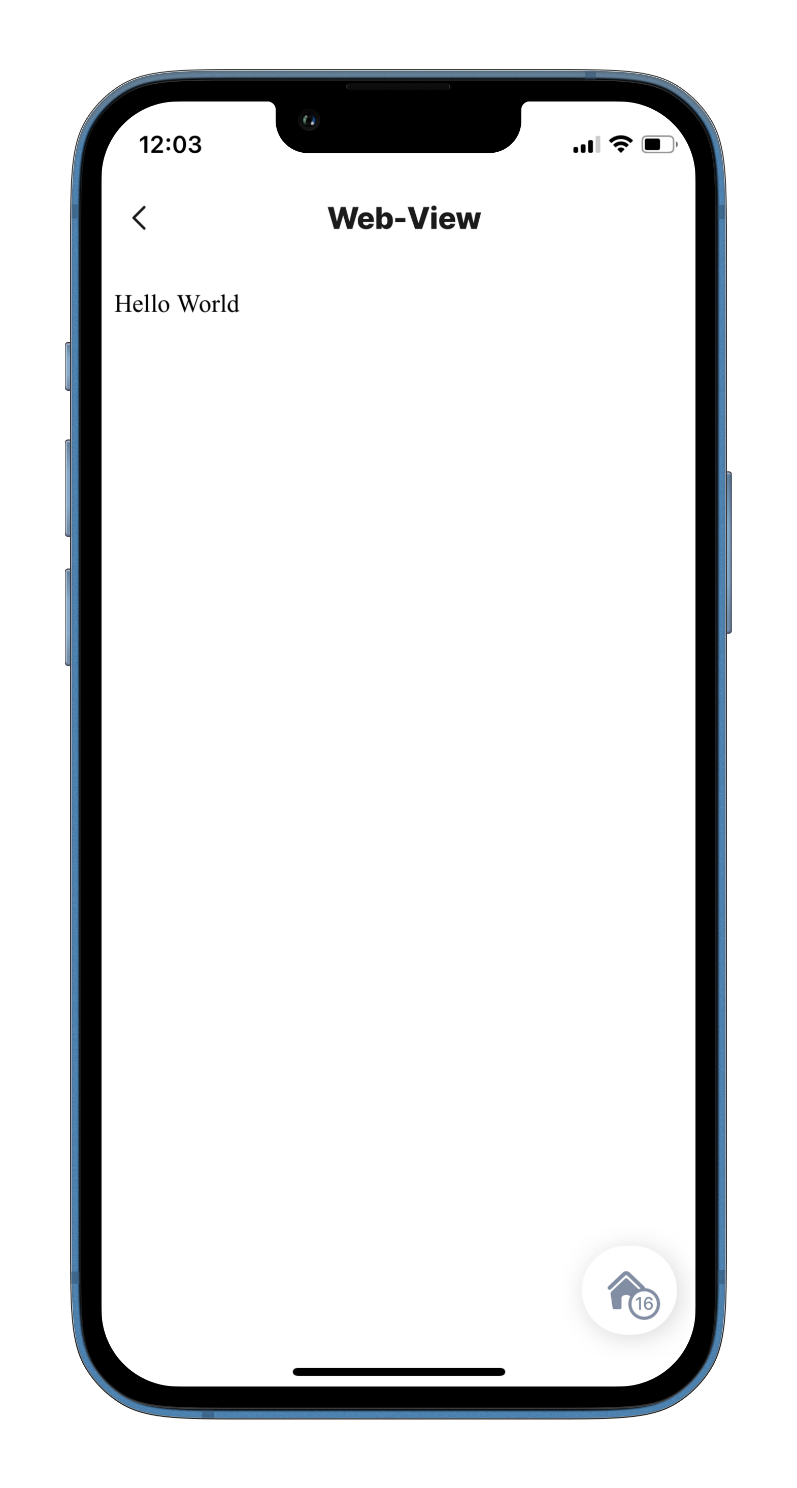 Web-view with HTML content